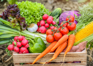 Vegitable