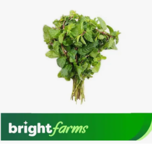 Brightfarms Mint Leaves - Podina (Pakistan) 1 bundle