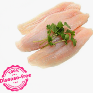 Frozen Fish Finger 1kg