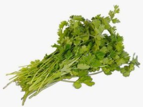 Coriander - Dhaniya (Pakistan) 1 bundle