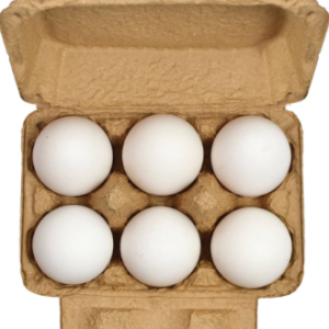 Fresh Egg pack of 6