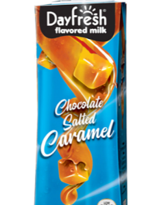 Day Fresh Flavored Milk Chocolate Salted Caramel
