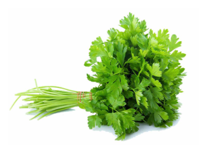 Coriander 100g - دھنیا