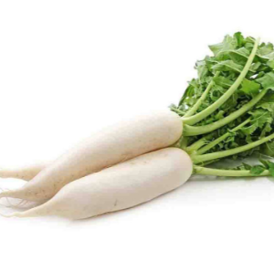 Radish white 0.95 - 1 kg مولی سفید