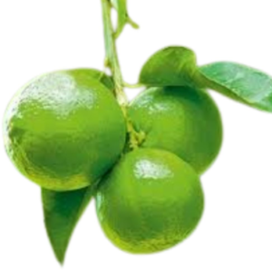 Lemon China 225 - 250g لیموں