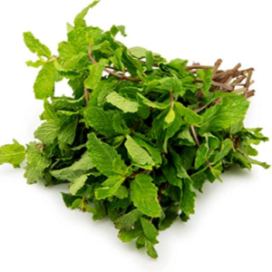 Mint - پودینہ