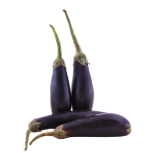 Long Aubergine-لمبا بائنگن