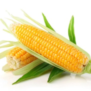 Corn-مکئی
