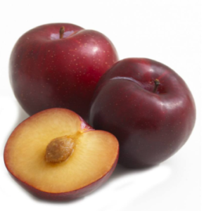 China Black Plum -آلو بخارا