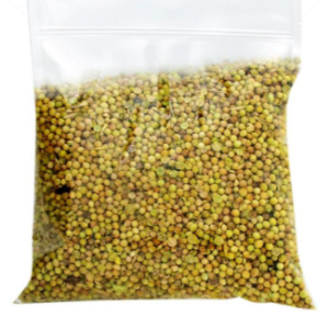 Coriander Whole (N&L)- ثابت دھنیا