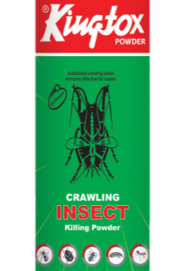 Kingtox Crawling insect killing Powder 125 gm